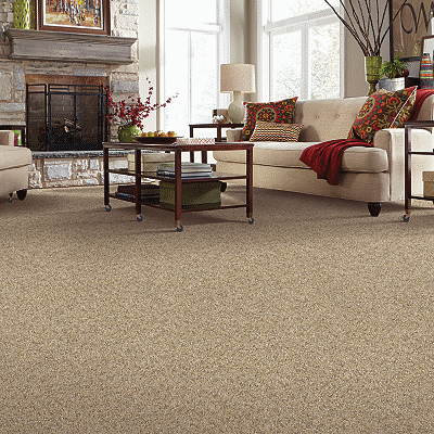 Carpet Remnants Store In Pompano Beach - Broward Discount Carpet (954)  785-9299